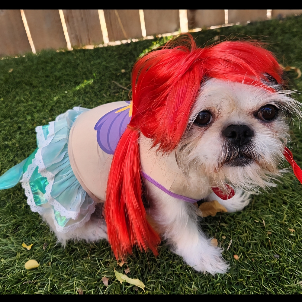 Disney Little Mermaid Dog Costume